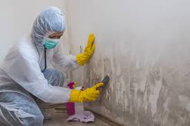 Best Industrial Mold Remediation in Clifton Forge, VA